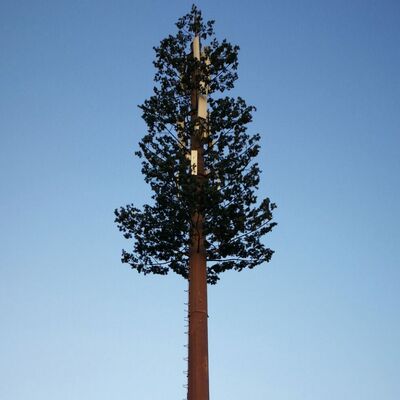 30M Bionic Tree Tower zaprojektowany do replikacji naturalnych drzew z trwałych materiałów i zintegrowanych uchwytów anten do telekomunikacji