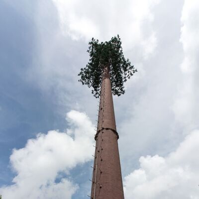 36M Bionic Tree Tower wyposażony w trwałe sztuczne pnia z włókna szklanego, gałęzie i liście z ukrytymi platformami dla anten 5G i czujników środowiskowych