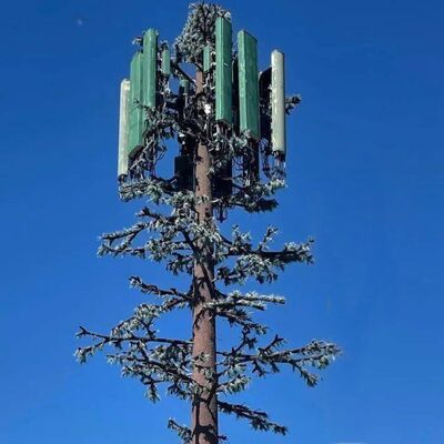 Bionic Tree Tower modułowy projekt z dostosowanymi gatunkami drzew i wysokością podtrzymującymi antenę montuje zarządzanie kablami i zbiorniki energii odnawialnej