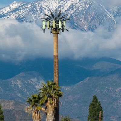 Bionic Tree Tower - dostosowywalne modułowe komponenty dla wysokości i gatunków drzew, aby dopasować się do różnych wymagań krajobrazu