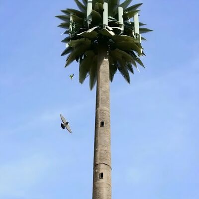 Bionic Tree Tower sztuczny z ANSI TIA 222 G H F i EN 1991 1 4 EN 1993 3 1 kody projektowe dla infrastruktury