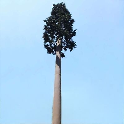 Bionic Tree Tower sztuczna wieża drzewa siła uderzenia KV 27 dżul przy różnych temperaturach dla niezawodności konstrukcyjnej