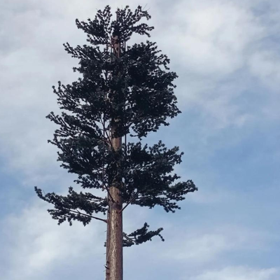 5 10 15 20 25 30 35 40 45 50 55 60 M metrów Radio Mikrofale Maszt antenowy Telekomunikacja Ukryte wieże telefonii komórkowej Bionic Tree Tower