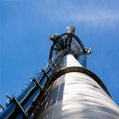 Wyposażone monopole Wieża 100 Wieża telekomunikacyjna Antenna Rodzaje komunikacji Rury