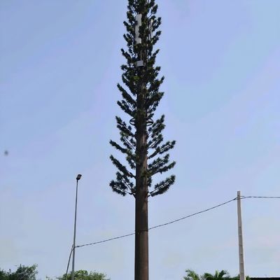 Bioniczne maskowane wieże komórkowe GSM antena monopol stalowy wieża telekomunikacyjna galwanizacja