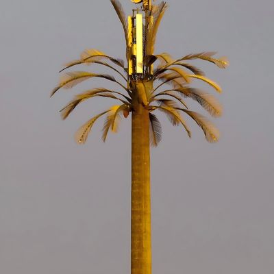 Zamaskowany słup Palm / Pine Micro Fake Cell Tower Drzewa 10 20 30 40 50 60 70 80 M