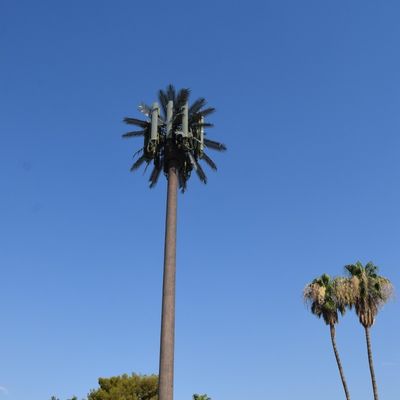 Dostosowanie 20m-50m Komunikacja Monopol Sztuczne Drzewo Wieże Komórkowe Telekom Palm Bionic Przebranie Drzewo Wieża