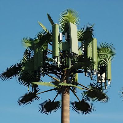Mikrofale Mobilne Telekomunikacje Monopol Fałszywa Palma Wieża Komórkowa Kamuflażowa Wieża Komunikacji Daty