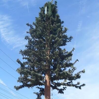 35M Bionic Tree Tower z opcją dostosowania wysokości i gatunku drzewa, obsługujący anteny 5G, urządzenia mikrofalowe i czujniki