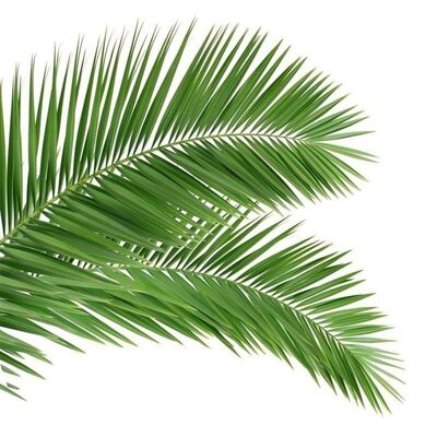 Bioniczna wieża drzew z wyglądem drzewa z gałęziami i pniami z włókna szklanego dla płynnego mieszania krajobrazu