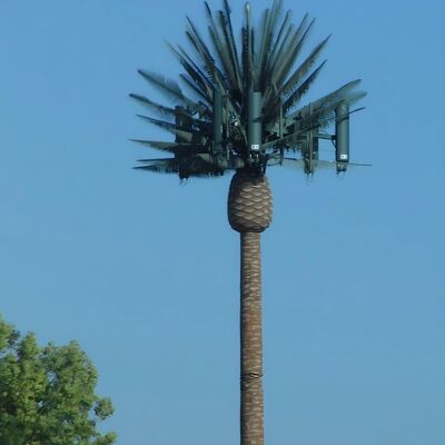 Bioniczne drzewo Wieża komunikacyjna Zgalwanizowana stal 25m 5G Sygnał Obszary sceniczne Projektowanie krajobrazu