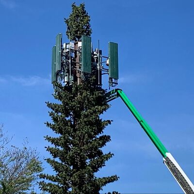 Bionic Tree Tower sztuczna wieża drzewa siła uderzenia KV 27 dżul przy różnych temperaturach dla niezawodności konstrukcyjnej