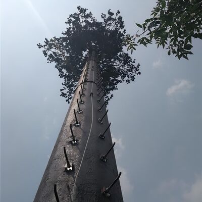18 27 35-metrowa zakamuflowana wieża telekomunikacyjna z palmami dla krajobrazu hotelu wypoczynkowego