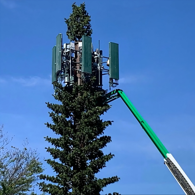 Ekologiczna zakamuflowana wieża z bionicznej sosny dla sieci bezprzewodowej 5G Integracja estetyczna Bionic Palm Tree Fabryka masztów komunikacyjnych