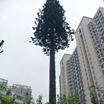 15m 25m 32m Artificial Pine Tree Camouflaged Monopole Bionic Antenna Telecom Tower for Landscape Communication Site