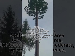 Bioniczna wieża drzewa