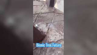 Drzewo bioniczne